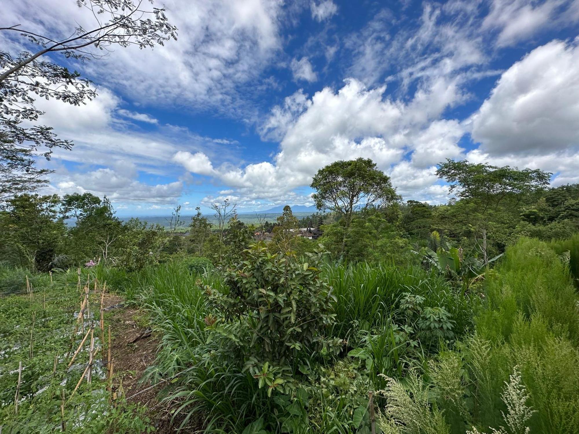 דירות Besakih Bali Basuki Retreat Center מראה חיצוני תמונה