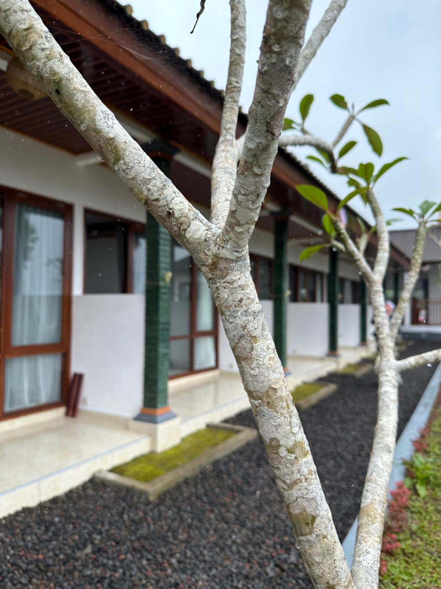 דירות Besakih Bali Basuki Retreat Center מראה חיצוני תמונה