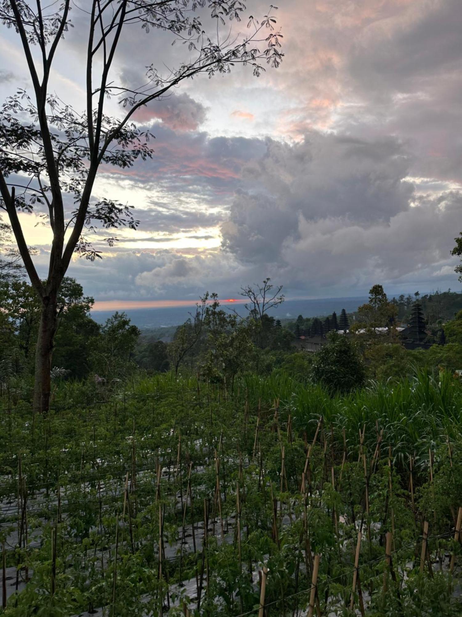 דירות Besakih Bali Basuki Retreat Center מראה חיצוני תמונה